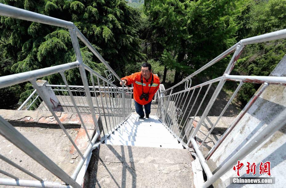 独臂护林员坚守深山20年